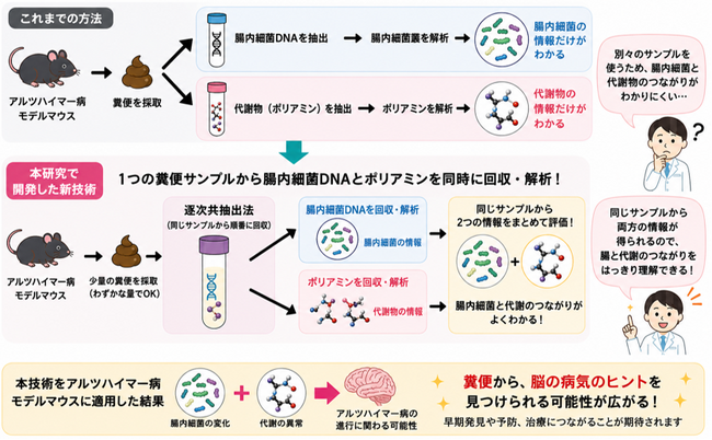 腸内細菌と代謝物を“同時に見る”新技術を開発