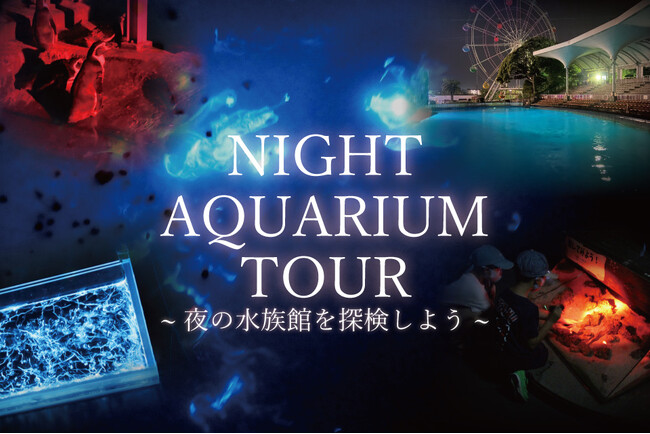 【南知多ビーチランド】懐中電灯を片手に夜の水族館へ！飼育員と巡る「ナイトアクアリウムツアー」開催＜愛知＞