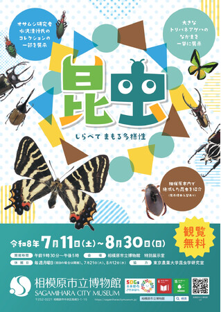 昆虫好きあつまれ!相模原市立博物館で企画展「昆虫 しらべてまもる多様性」を開催します