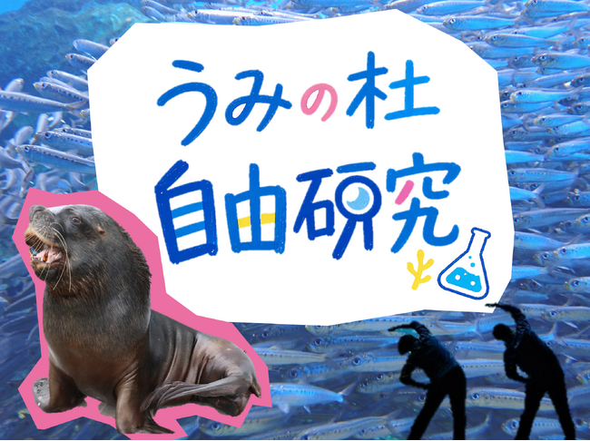 【仙台うみの杜水族館】不思議がいっぱいの海にまつわる知識を学べる体験目白押し『うみの杜自由研究』【２０２６年７月１８日（土）～８月２３日（日）】