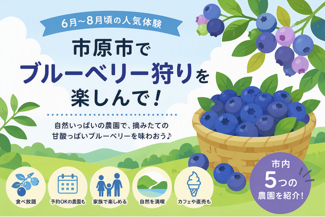 夏のお出かけにぴったり????”いちはらならでは”のブルーベリー狩り????
