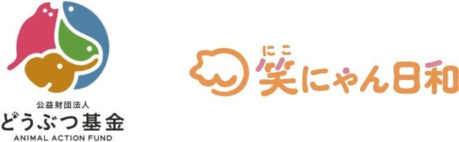 WHDCアクロディアの保護猫応援プロジェクト「笑にゃん日和」、2026年上期の収益から約60万円をどうぶつ基金へ寄付