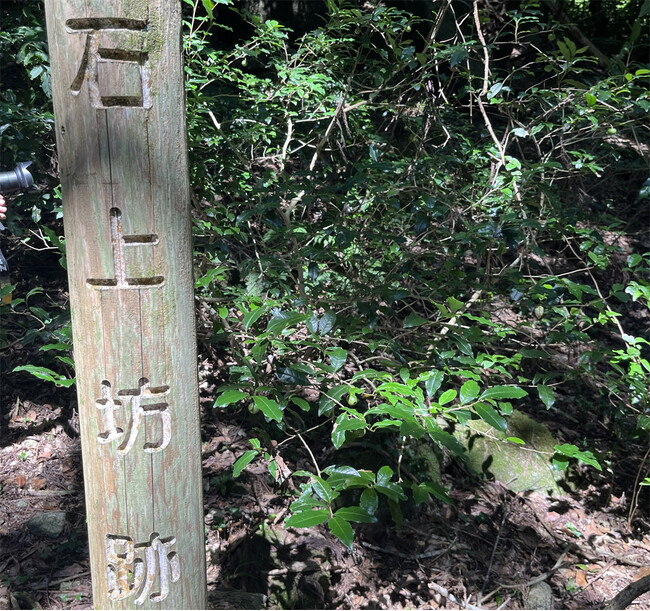日本茶800年の歴史の起源に触れる。佐賀・脊振山に伝わる「栄西茶」東京講演2026、9月13日（日）に大妻女子大学にて開催決定！