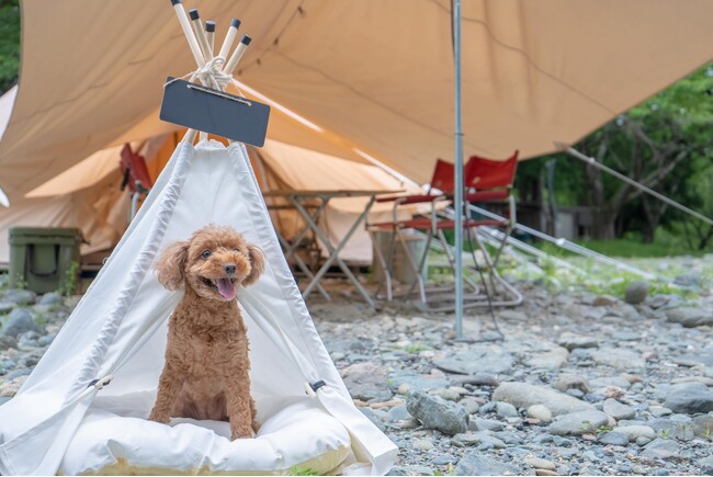 清流と里山に囲まれたCOMORIVER（コモリバ）で愛犬とお泊まり愛犬との旅をもっと気軽に「ペットアイテム」を拡充