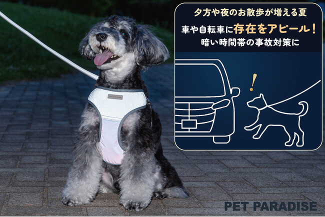 猛暑で増加する早朝・夜間のペットとのお散歩をもっと安全に　『ペットパラダイス』「超反射切り替えハーネス＆リード」を新発売