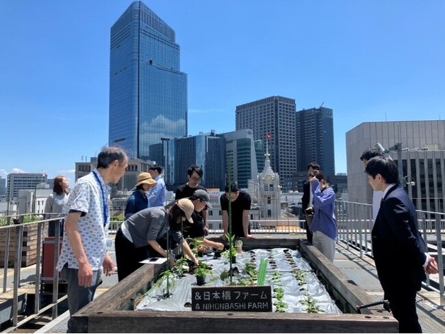 4社連携で食品ロスを活用した屋上菜園プロジェクトを本格始動　屋上菜園を起点に、たい肥化・栽培・活用までつなぐ循環モデルを構築