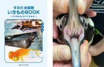 【すみだ水族館】すみだ水族館の夏は“発見”がいっぱい!
ガイドブックや体験プログラムで自由研究をサポート
