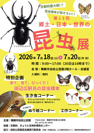舞鶴市で7月18日から国内外の昆虫標本5千点を展示するイベント