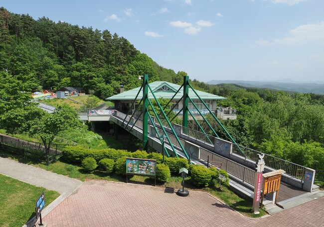 【長野県初】佐久市内で極めて稀少な「ホソナカボソタマムシ」の生息を確認。佐久平尾山開発株式会社が運営する昆虫体験学習館・渡辺衛館長らの共同研究による特別展示を開催！