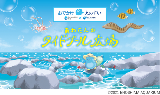 テラスモール湘南に今年も“えのすい”がやってくる！出張水族館「おでかけえのすい」開催体験型ボールプールやワークショップが盛りだくさん！2026年 8月８日（土）～ 8月23日（日）