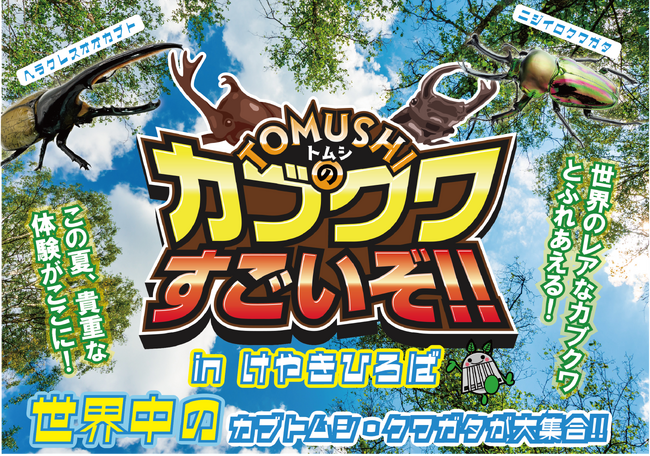 ヘラクレスオオカブトなど世界の人気昆虫が大集合！ 『TOMUSHIのカブクワすごいぞ！！　in けやきひろば』を7月18日から開催