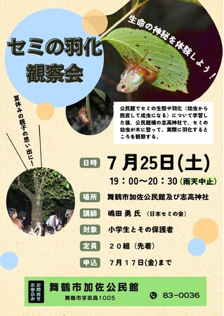 夏の夜の神秘をのぞいてみよう！加佐公民館「セミの羽化観察会」7月25日（土）開催