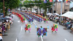 歴史ある高知よさこいチーム「とらっくよさこい」への協賛のお知らせ