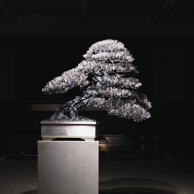 TRADMAN'S BONSAI × SUWADA 盆栽鋏になれなかった鋼が、盆栽作品へ。