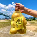 ネットに入った五色浜ゴールド ネットに入った五色浜ゴールド