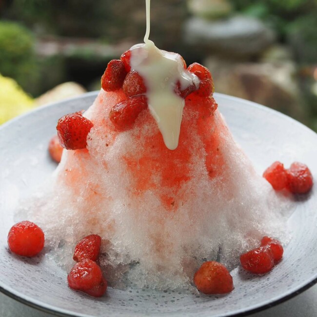 「和菓子屋のかき氷は、蜜が違う。」創業70年以上のお亀堂が贈る、この夏だけの特別な一杯。
