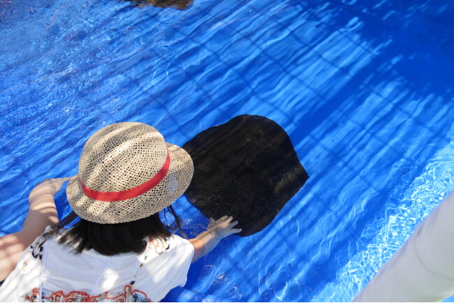 【鴨川シーワールド】夏限定イベント！子どもと一緒にふれて感触を確かめよう！つるつる？ざらざら？「エイとサメのタッチングプール」開設