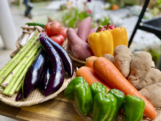 【兵庫県宍粟市】本日より！GWで大好評だった「野菜マルシェ」が夏休みに復活。1カゴ盛り放題1,000円で地元野菜を楽しむ期間限定イベントを開催＜ウッドデザインパーク与位＞