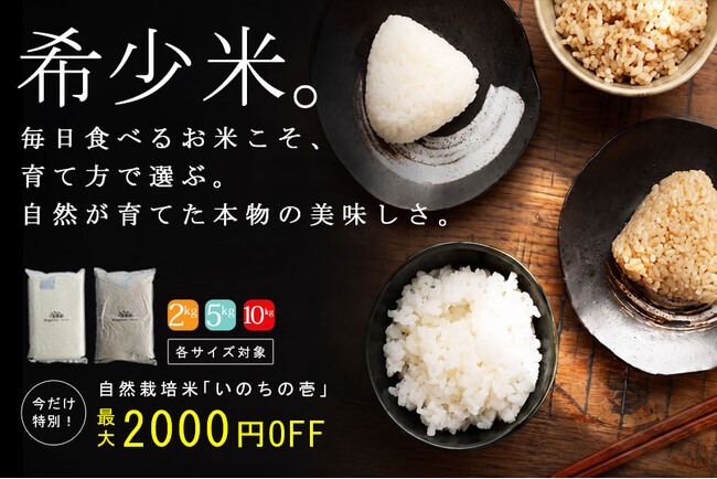 ファッションブランドantiqua、希少な自然栽培米『いのちの壱』を販売。