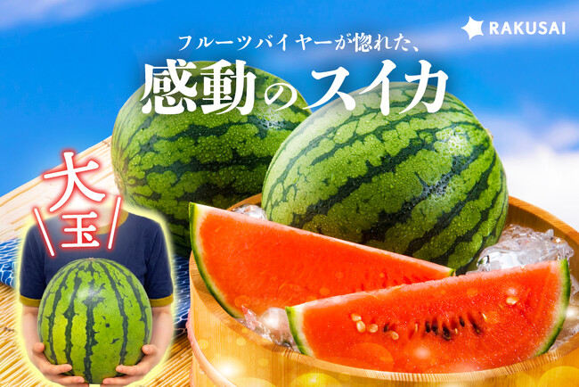 バイヤーが惚れた、感動のスイカ 蛭田さんの大玉スイカ『夏のぜいたく』（神奈川県）