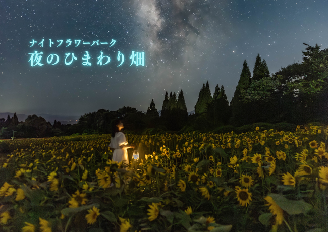 【大分・久住高原】平地マイナス5℃の避暑地！くじゅう花公園『ナイトフラワーパークSummer』が8月7日(金)より開催！5万株のひまわり×初ライトアップの「グリーンコキア」が登場