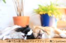 展示作品：juntowa