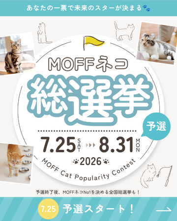 「推しネコ」No.1は誰の手に？『第5回 MOFFネコ総選挙』ついに開幕！総勢750頭の頂点を目指せ！