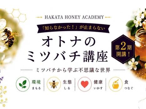 【福岡大学】理学部藍浩之教授が公開講座「オトナのミツバチ講座」で講演します(7/26)
