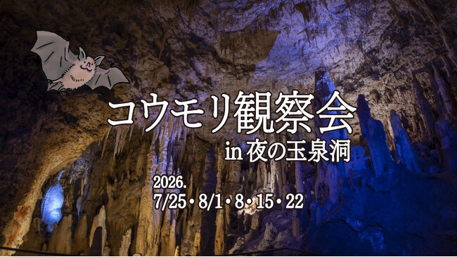 【沖縄】夏休み限定イベント『コウモリ観察会 in 夜の玉泉洞』