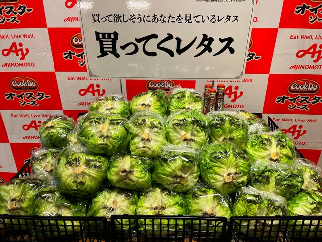 6割以上の人が経験する夏場のレタスのフードロス問題!“藤原竜也さん顔面協力”による1万個のレタス販売と、新レシピで購入と消費を促進『「Cook Do(R)」オイスターソース 藤原竜也の「買ってくレタス」』