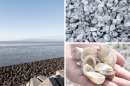 有明海の貝殻から生まれる、貝灰漆喰