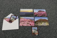 ～山の日は『別府のてっぺん鶴見岳』へ～
