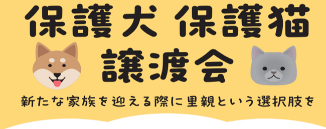 保護犬・保護猫の譲渡活動が拡大中！2026年８月綿半店舗開催の譲渡会スケジュールが決定！