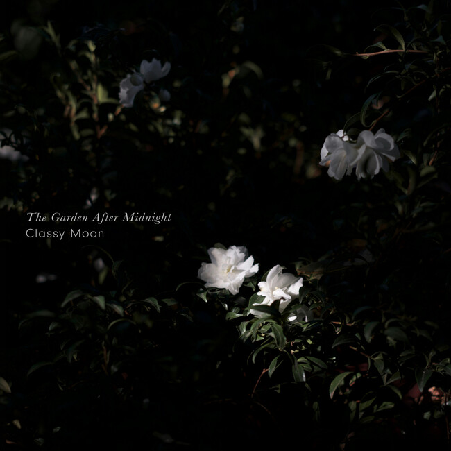 話題のクラシック・クロスオーバー作品。夜明け前の静けさを映すピアノ・ヒーリングアルバム、Classy Moon『The Garden After Midnight』7月24日配信開始。