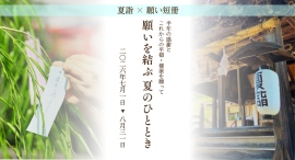長野市に残る月遅れ七夕文化を次世代へ 蚊里田八幡宮で初の『願い短冊』を実施 長野市に残る月遅れ七夕文化を次世代へ 蚊里田八幡宮で初の『願い短冊』を実施