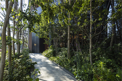 マンション緑化の効果を検証する共同研究を開始 ～立命館大学との産学連携で緑化と生活満足度の関係を可視化～