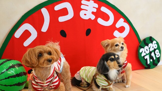 全国から18組のわんちゃんと飼い主様が福岡本社へ！ペットフードブランド《コノコトトモニ》が体験型イベント「第2回コノコ祭り」を開催！