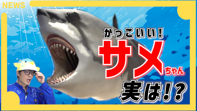 さかなクンと一緒にサメの魅力を再発見！「素材市場」YouTubeコラボ動画、7月28日(火)公開