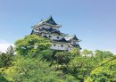 和歌山城 和歌山城