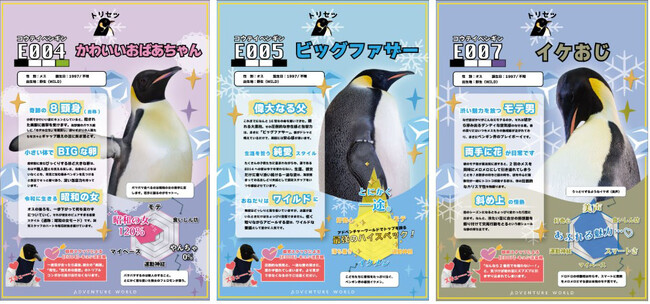 【応募総数２８，６０２件！】１９羽のコウテイペンギン「命名イベント」を８月１３日（木）より１９日間連続で開催！