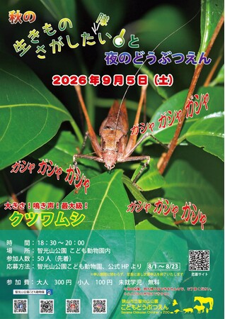 【智光山公園】秋の生きものさがしたい（隊）と夜のどうぶつえんの申し込みは8月1日（土）スタート！