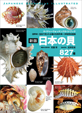 日本で見られる貝の生態写真と標本写真を827種全てに掲載した画期的な図鑑。普段見られない目、触覚等の写真は同定にも役立つ。