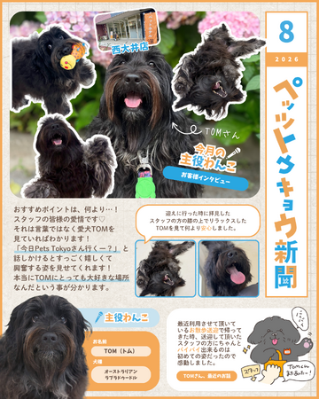 ペットと暮らす毎日をもっと楽しく!「ペッツトウキョウ新聞」8月号を発行