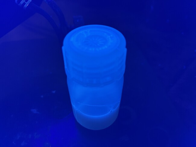 GSアライアンスが、廃木材、廃食品などの有機バイオマス系廃棄物から量子ドットを合成し、害虫に対する忌避剤として使用できることを確認