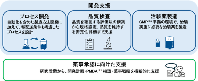 セルリソーシズ株式会社、再生医療領域の開発・製造拠点「羽田PDC」を稼働開始