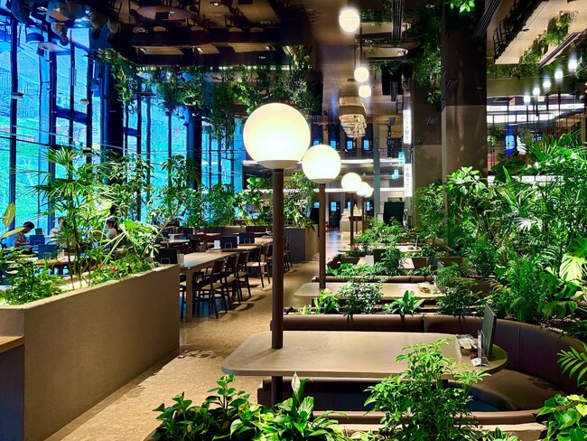日比谷花壇、服部緑地の温浴施設における緑化デザインで「屋内緑化コンクール2026」一般社団法人日本ハンギングバスケット協会理事長賞を受賞