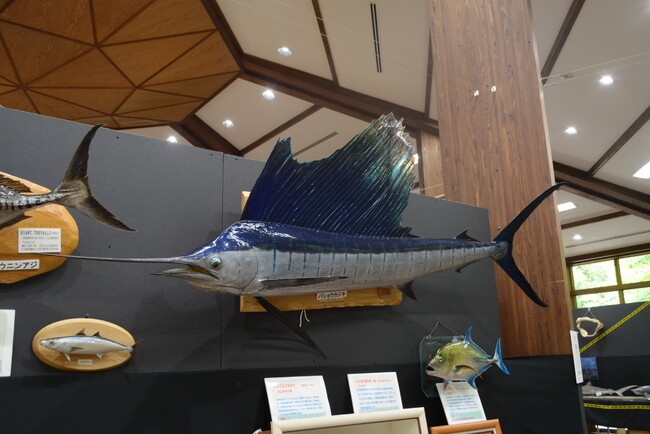 レアな深海魚や危険な魚がいっぱい！魚魚展開催中！【国営アルプスあづみの公園　堀金・穂高地区】