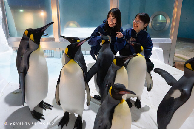 アドベンチャーワールドでしか体験できない「極地探検ツアー ～penguin nice to meet yotour～」誕生