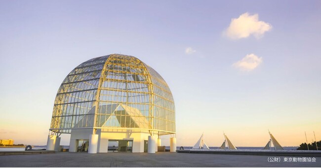 【葛西臨海水族園】20時まで開園時間延長の期間限定イベント「水族園で夕涼み」を開催します！夏の夕暮れを彩る特別なガイドトークや限定メニューが登場
