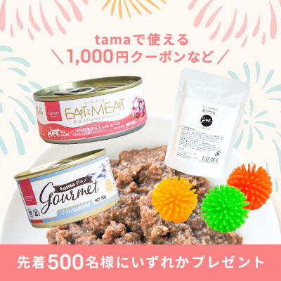 《tama》大好きな猫と一緒に楽しむワクワク「夏祭りキャンペーン」